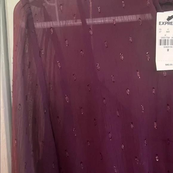 Express Plum Sheer Smocked Waist & Neck Long Sleeve Blouse - Picture 4 of 5